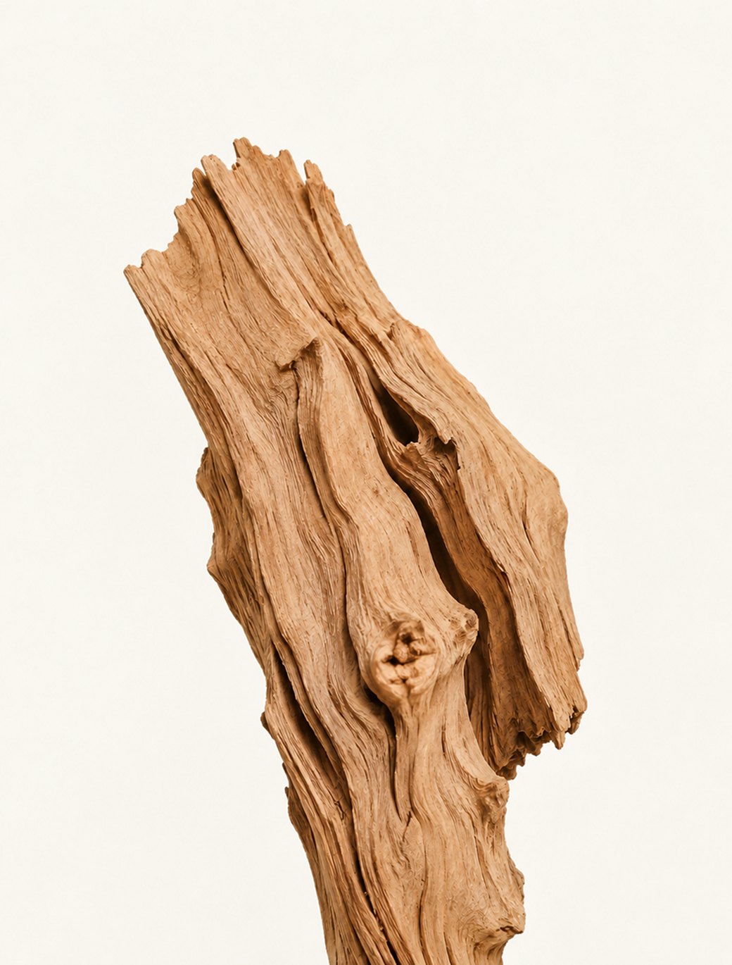 Sandalwood