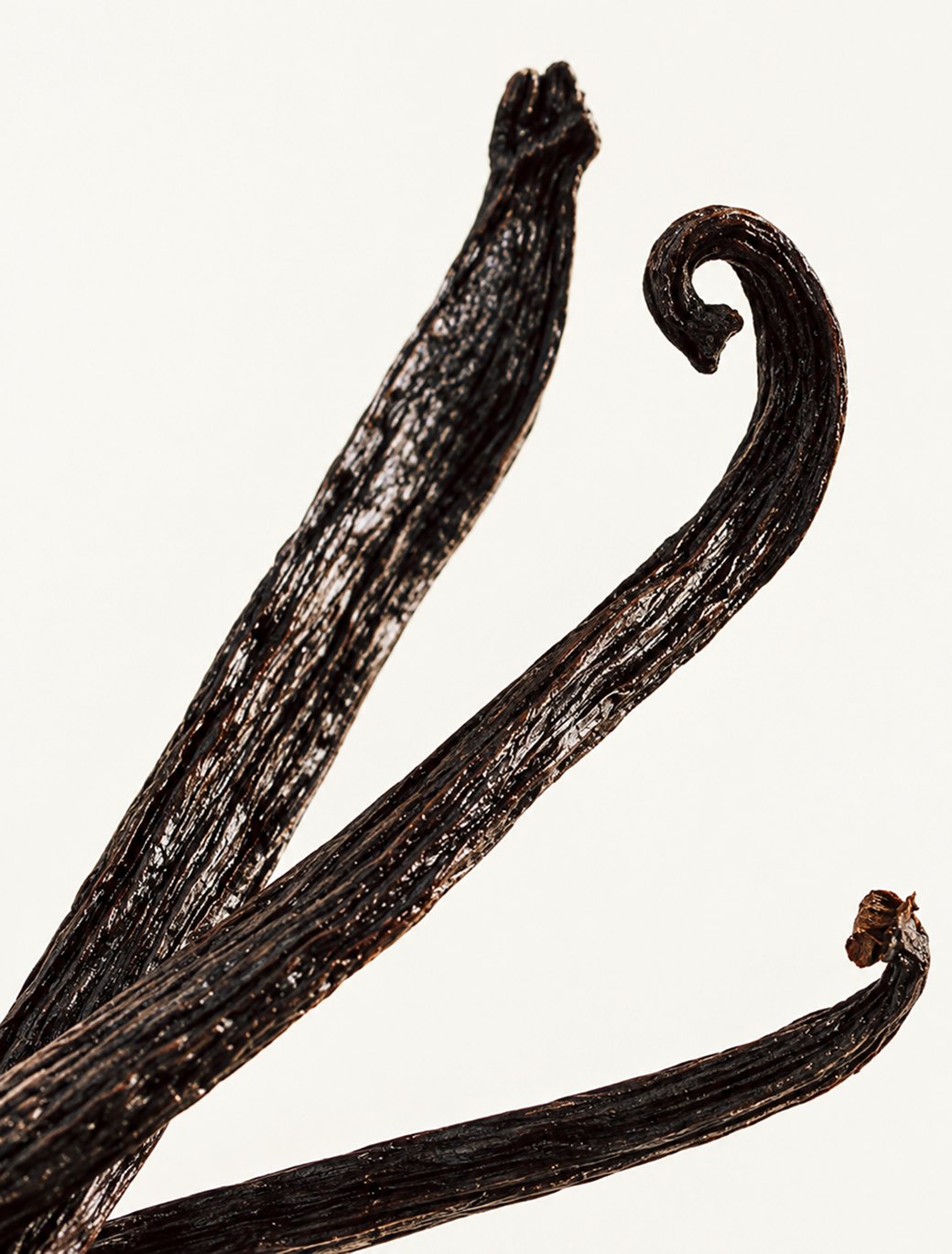 Vanilla