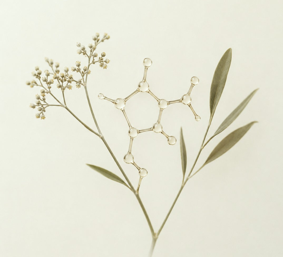 Beta Carophyllene